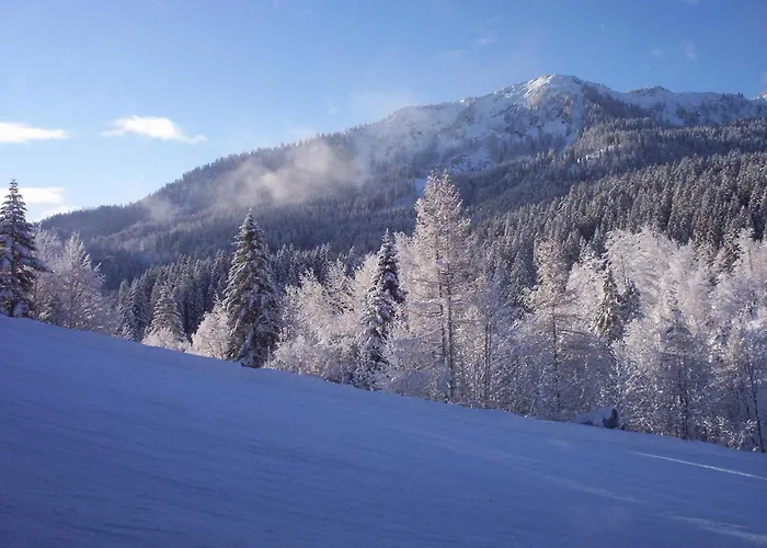 بيرغهوتيل سوتين بيت ضيافة *