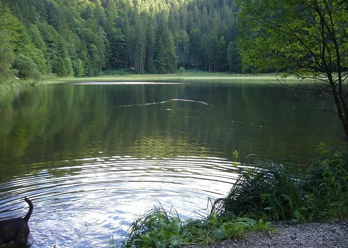 بيرغهوتيل سوتين بيت ضيافة *