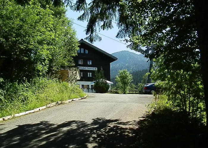 بيرغهوتيل سوتين *